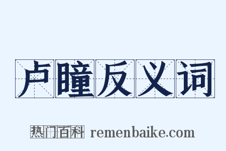 卢瞳反义词是什么意思的图片